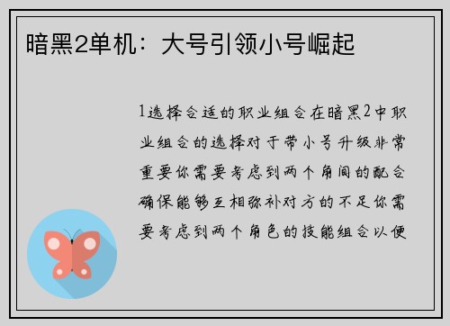 暗黑2单机：大号引领小号崛起
